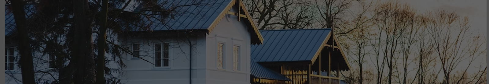 banner-image